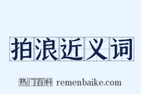 拍浪近义词是什么意思的图片